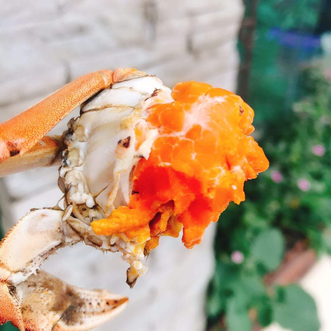 1600398099253500.jpg 大閘蟹圖5.jpg